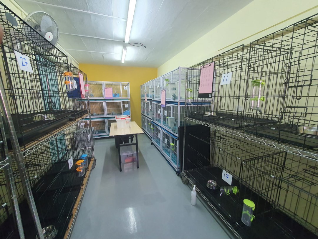 Rare Pet Shop For Takeover, Property, Rentals, Commercial on Carousell