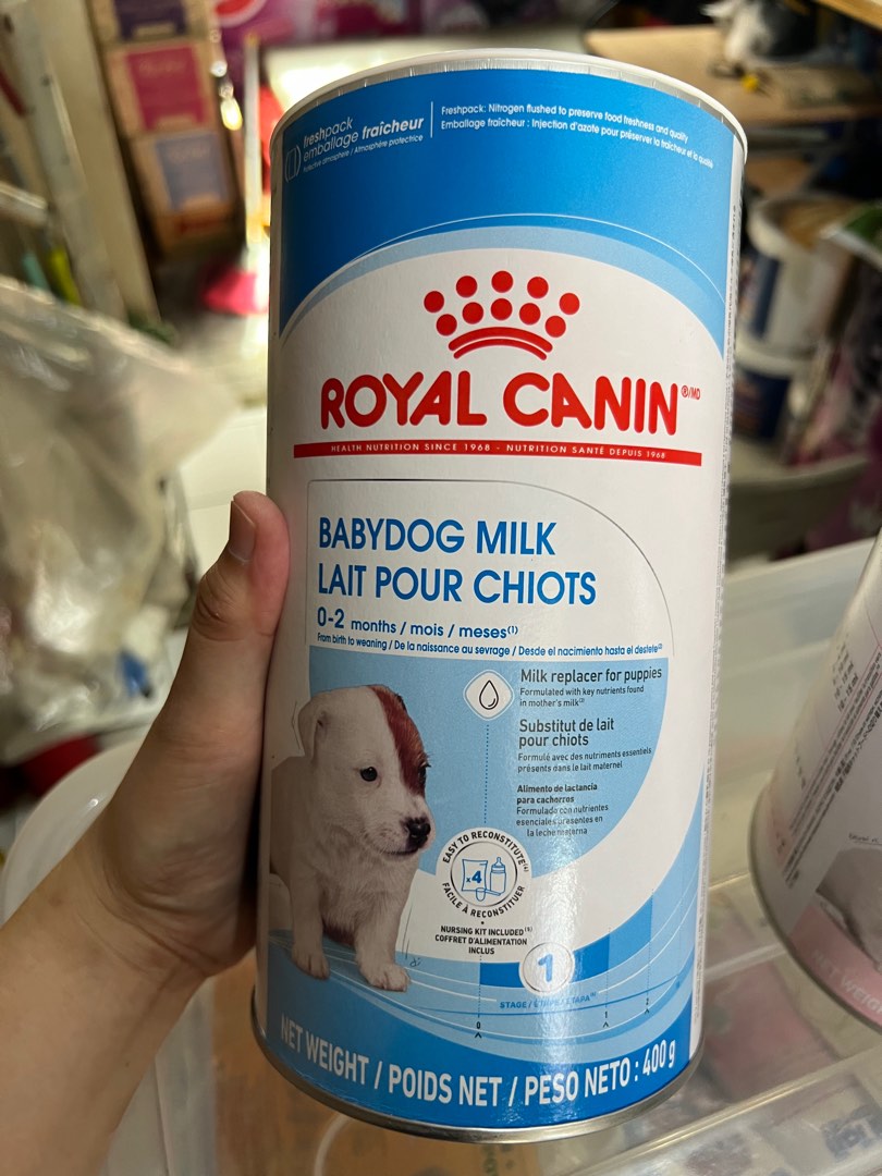 Babydog milk