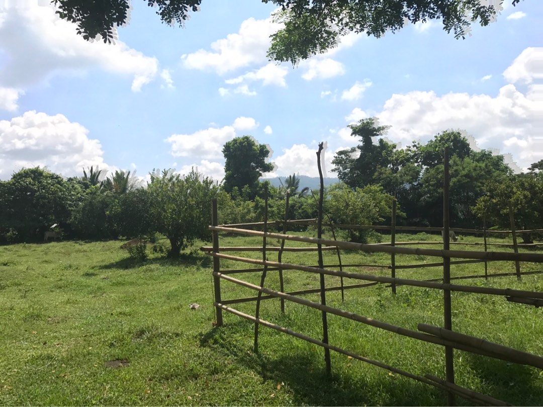 RUSH RUSH SALE!! FARM LOT MAGDALENA LAGUNA 762 SQM, Property, For Sale