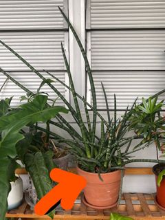 (Category: ) located in . Submitted by yhan35 (Listing ID 1262112953, Image 1). Description: .