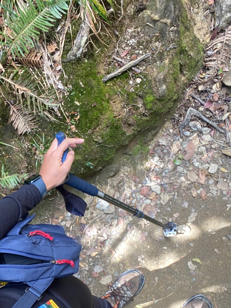 Cleebourg hotsell trekking pole