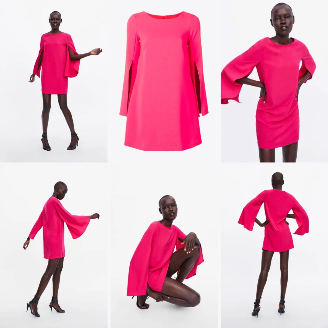 ZARA Dress with Bell Sleeves
