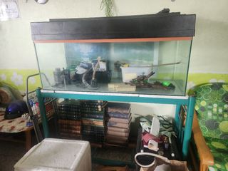 (Category: ) located in . Submitted by xavpete (Listing ID 1262278919, Image 1). Description: .