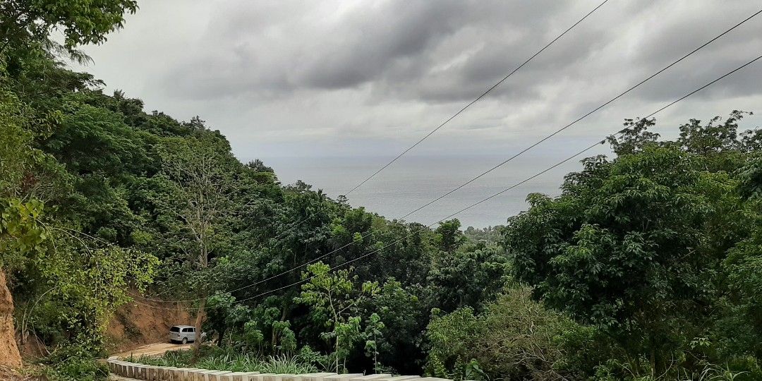 Lot for Sale (Category: Lot) located in Paranaque City. Submitted by jojo_evangelista71 (Listing ID 1262287111, Image 3). Description: • 13.6 hectares hilly terrain agricultural land • Located in Bgy. Biga, Lobo, Batangas • Approx. 20 kms away from San Juan town • With estimated 5,000 full-grown Gmelina, Mahogany and other hardwood trees. • Newly built concrete access road connected to Lobo-Laiya provincial road • Land may be suitable for farming