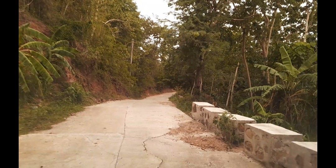 Lot for Sale (Category: Lot) located in Paranaque City. Submitted by jojo_evangelista71 (Listing ID 1262287111, Image 2). Description: • 13.6 hectares hilly terrain agricultural land • Located in Bgy. Biga, Lobo, Batangas • Approx. 20 kms away from San Juan town • With estimated 5,000 full-grown Gmelina, Mahogany and other hardwood trees. • Newly built concrete access road connected to Lobo-Laiya provincial road • Land may be suitable for farming