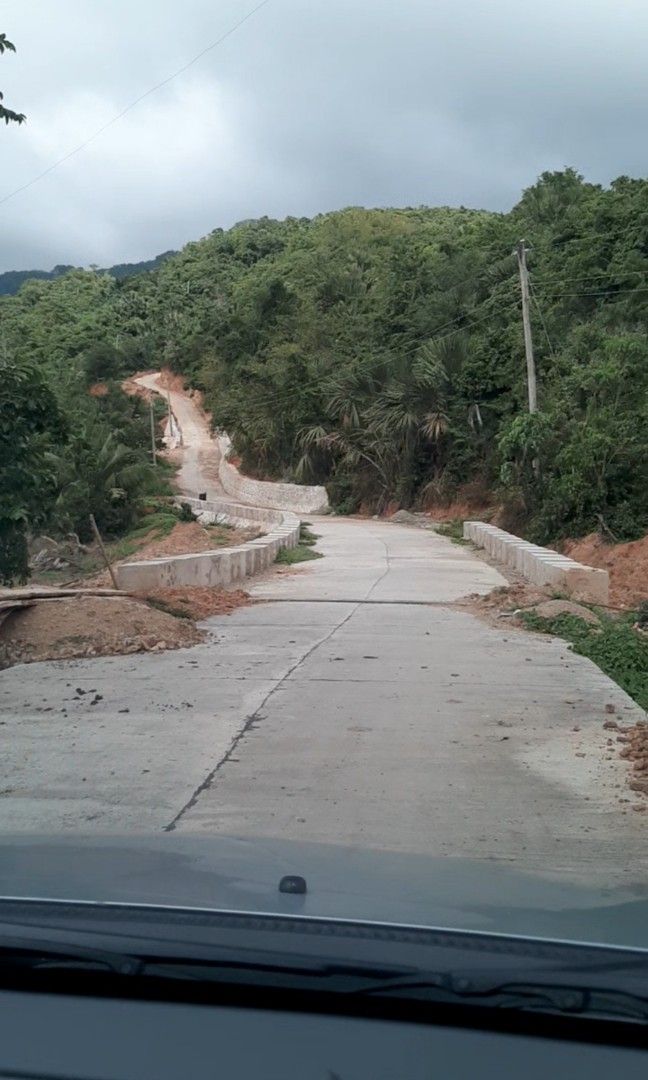 Lot for Sale (Category: Lot) located in Paranaque City. Submitted by jojo_evangelista71 (Listing ID 1262287111, Image 1). Description: • 13.6 hectares hilly terrain agricultural land • Located in Bgy. Biga, Lobo, Batangas • Approx. 20 kms away from San Juan town • With estimated 5,000 full-grown Gmelina, Mahogany and other hardwood trees. • Newly built concrete access road connected to Lobo-Laiya provincial road • Land may be suitable for farming