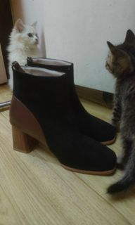 (Category: ) located in . Submitted by belljavier (Listing ID 1262323805, Image 1). Description: .