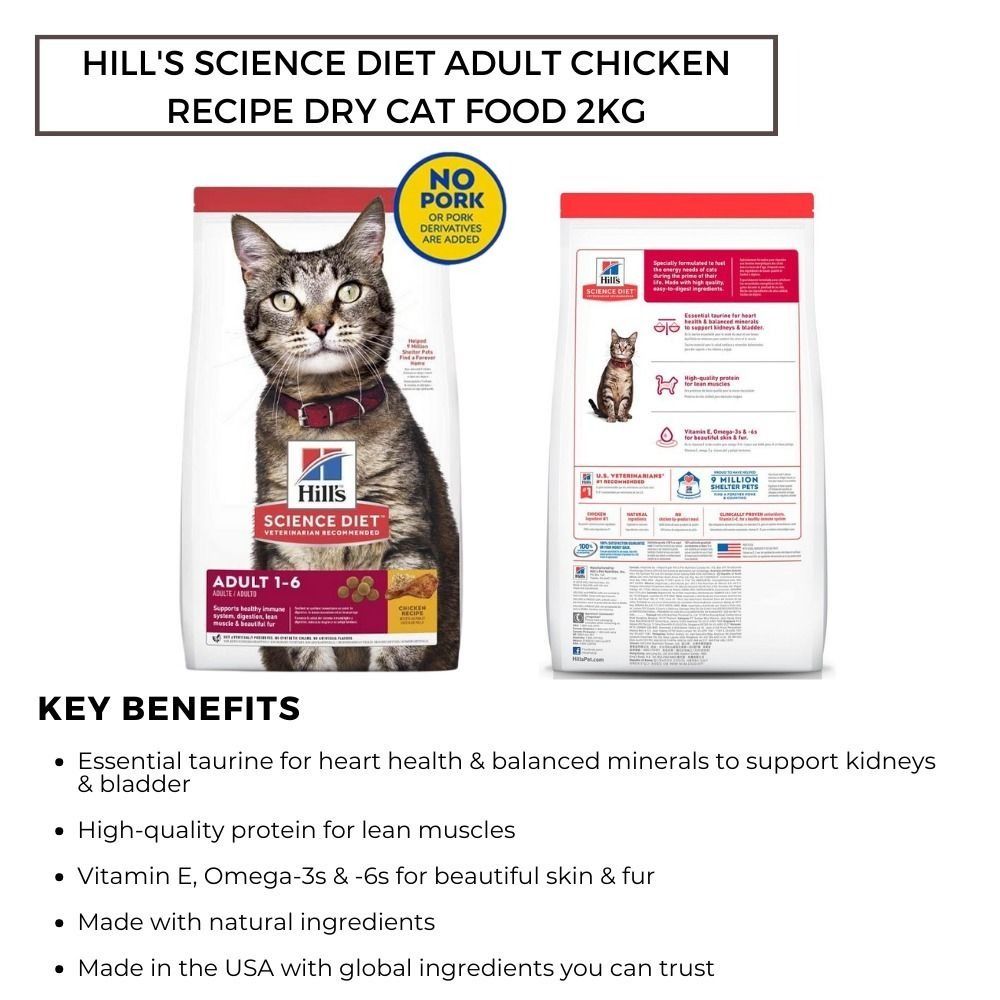Hill s Science Diet Cat Dry Food Adult Cat Dry Food Kitten Dry