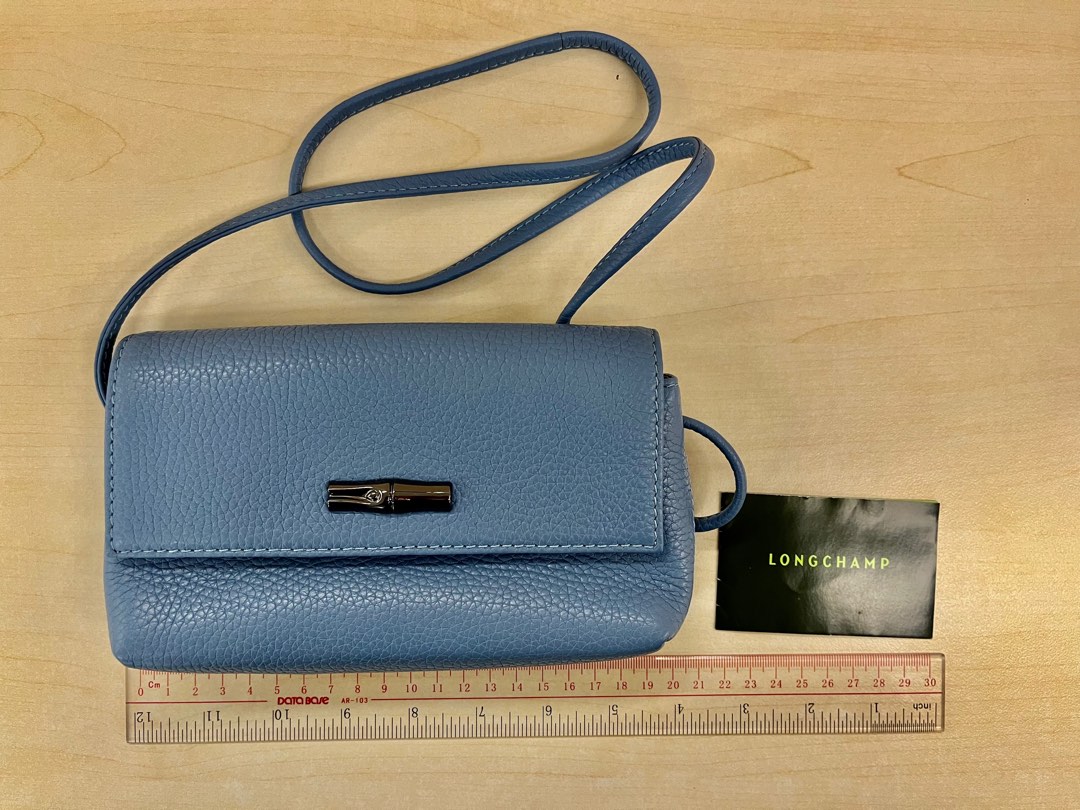 Longchamp Roseau pouch 98 Carousell