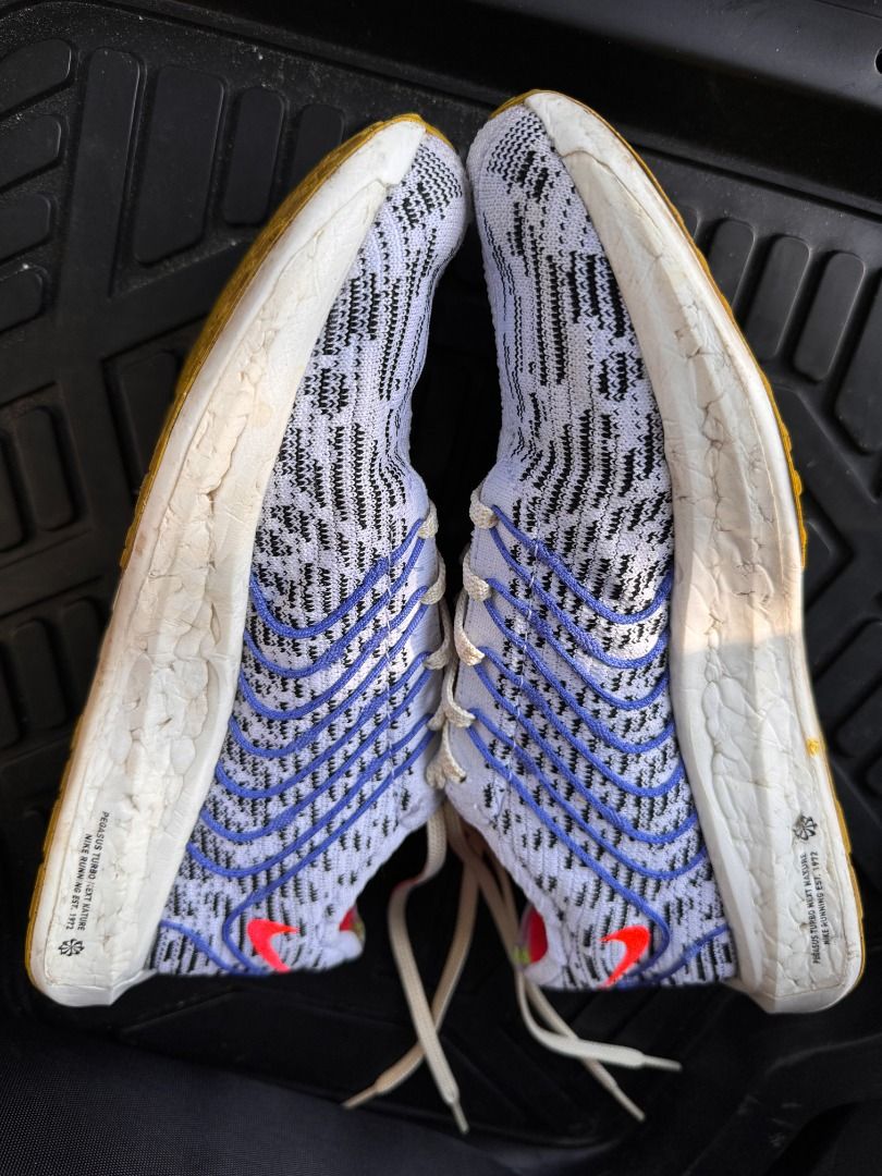 Nike Pegasus Turbo Next Nature