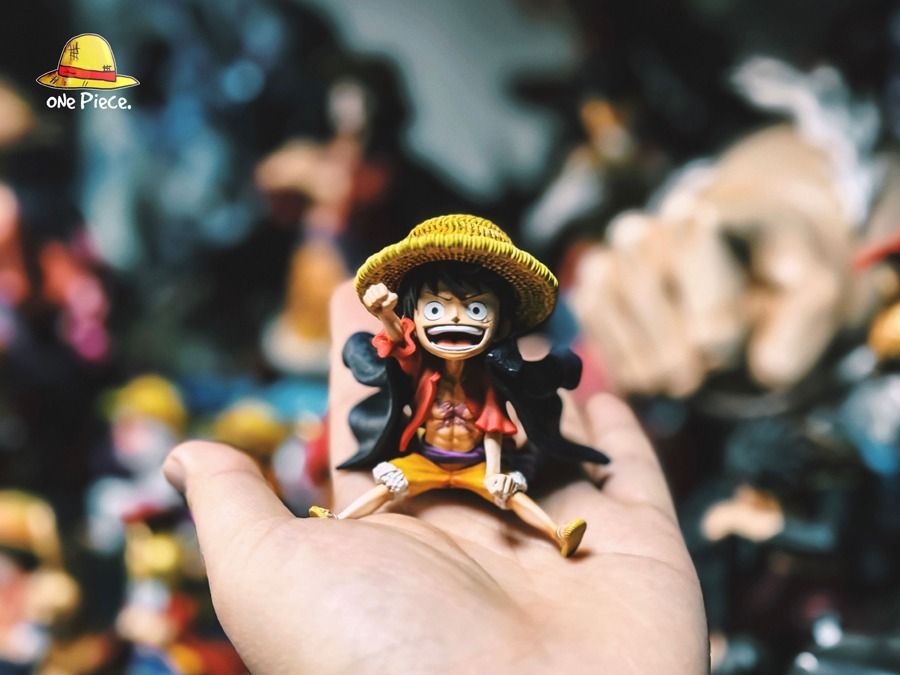 One Piece, Monkey D. Luffy, One Piece Studio