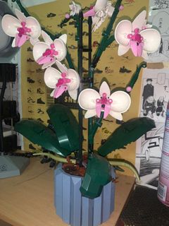 (Category: ) located in . Submitted by zacknadh (Listing ID 1262274198, Image 1). Description: .