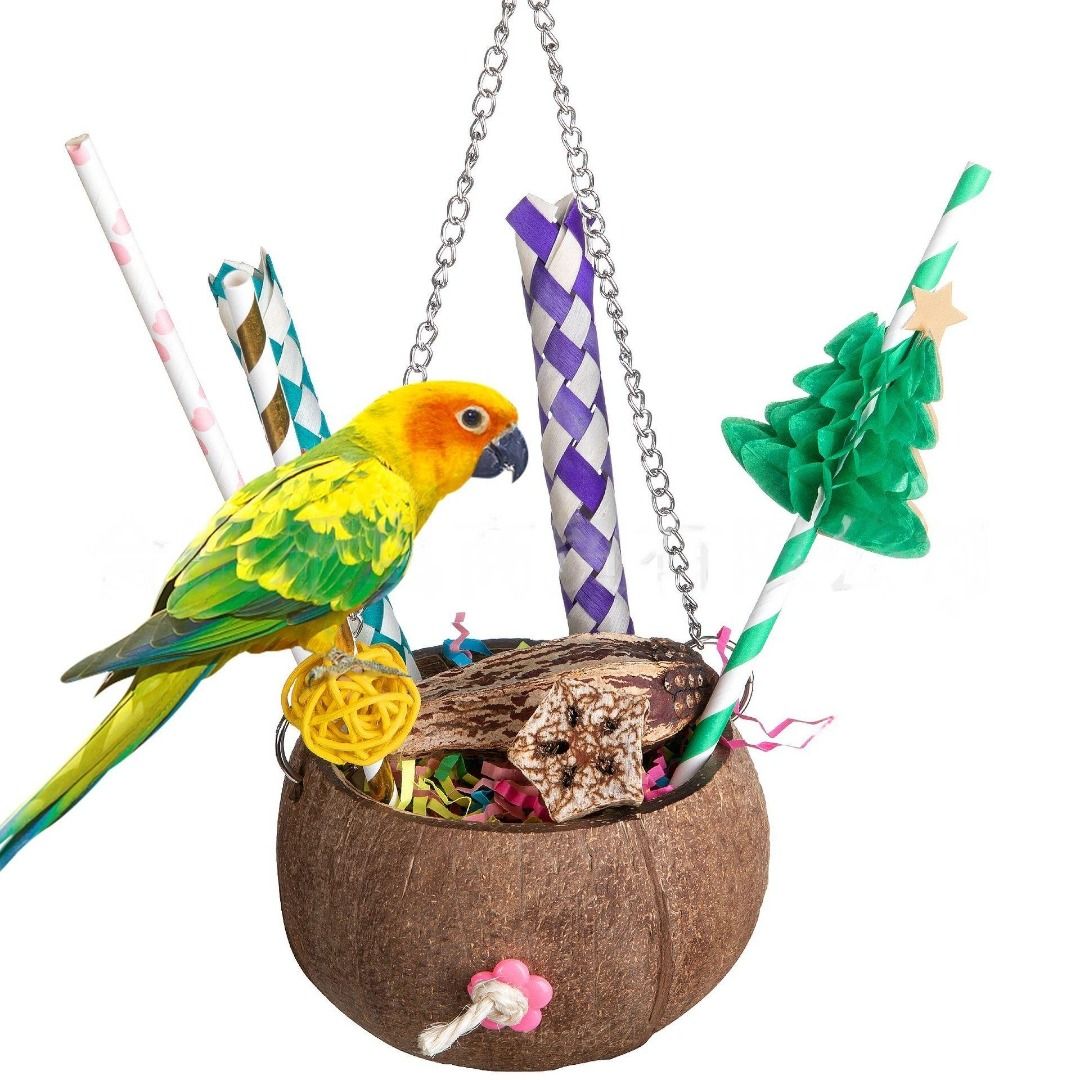 Coconut bird toy 2025