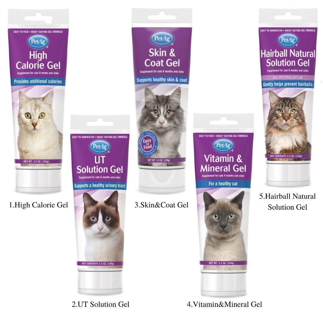 High calorie cat sales supplement