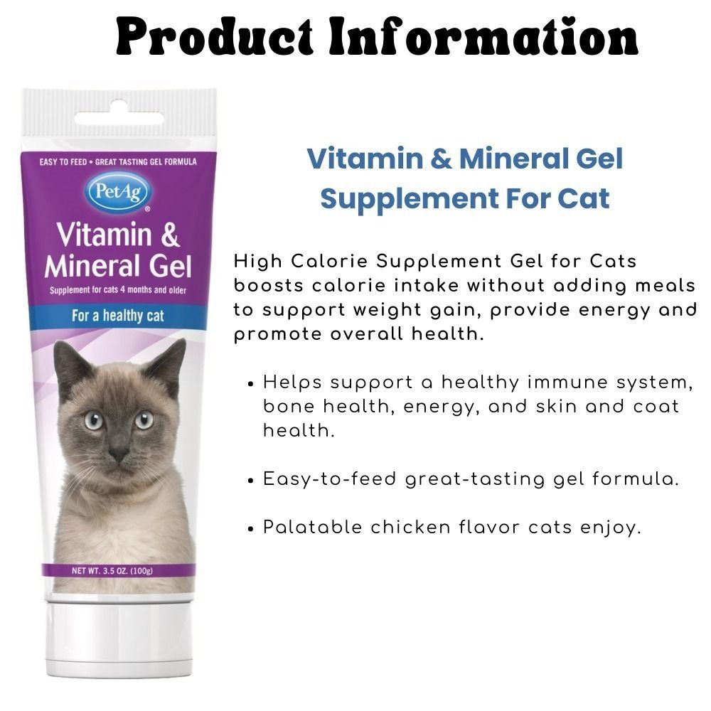 High calorie hot sale cat supplement