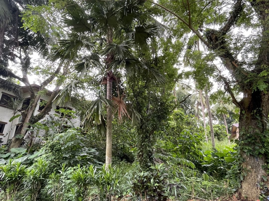 Residential Vacant Lot in Tierra Maria Estates For Sale, Property, For Sale, Lot on Carousell