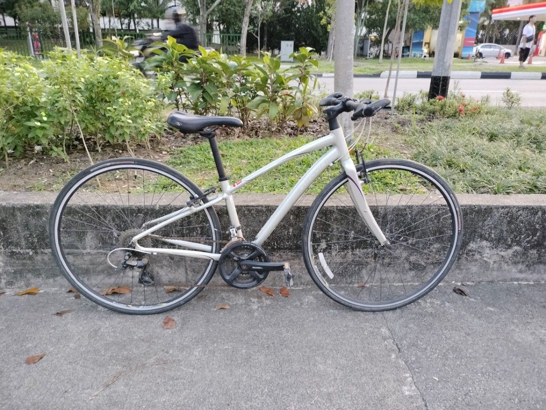 Specialized vita 2025 hybrid