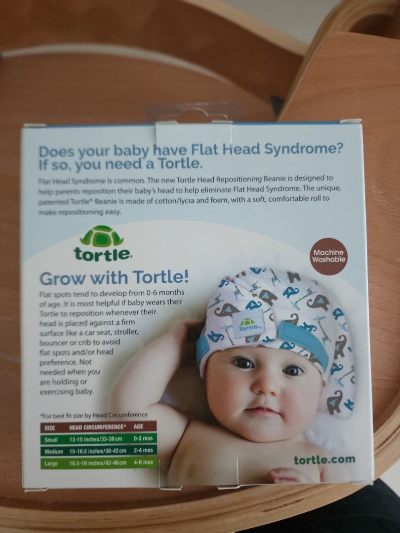 Tortle flat head 2025