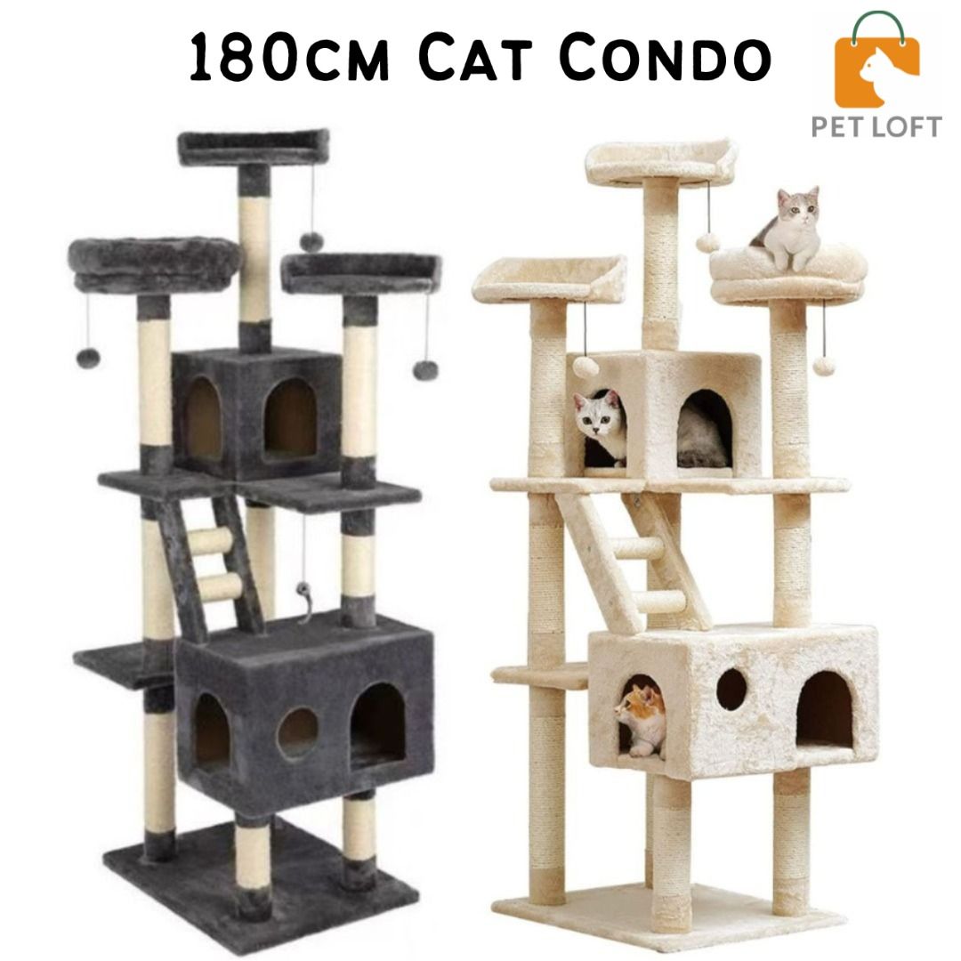 Cat store tower accessories