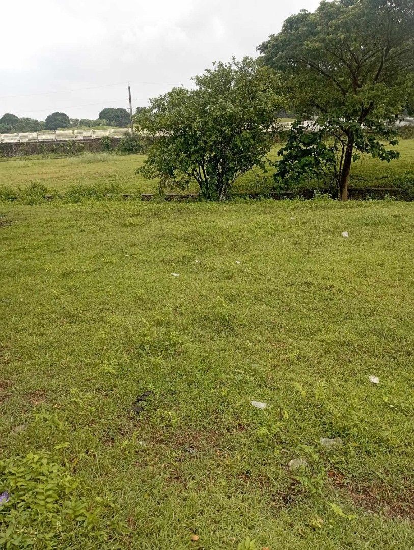 306sqm Residential Lot For SALE The Orchard Residences Dasmarinas