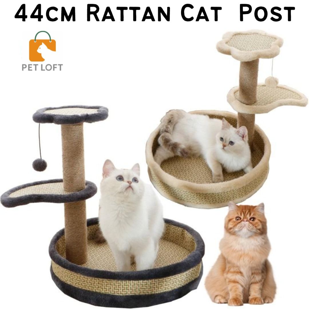 44cm Rattan Cat Scratching Post Cat Sisal Scratch Post Cat Kitten ...