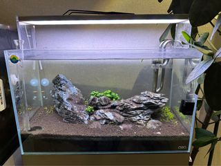 (Category: ) located in . Submitted by tjy55 (Listing ID 1262462957, Image 1). Description: .