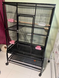(Category: ) located in . Submitted by smeera (Listing ID 1262443507, Image 1). Description: .