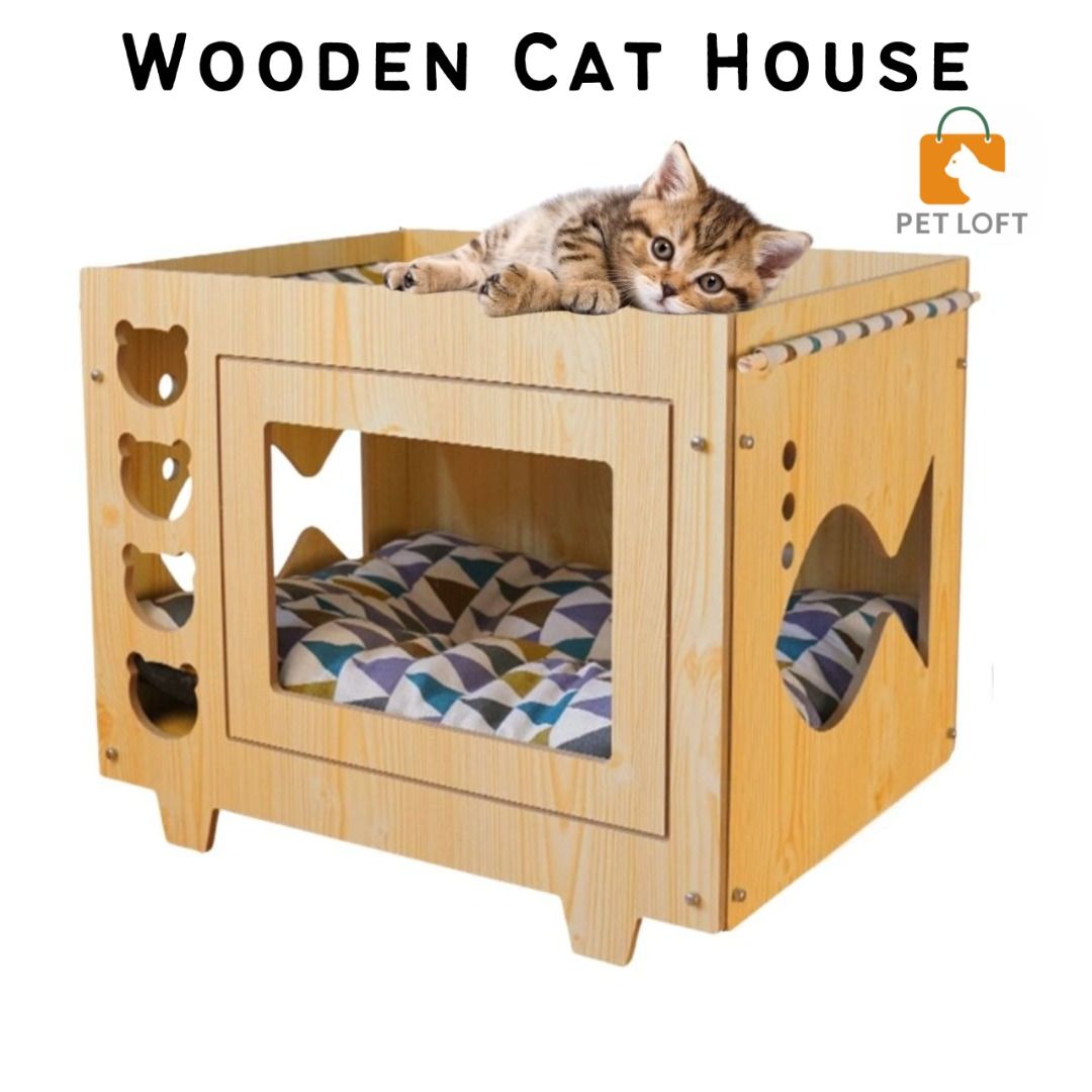 Kitten clearance play house
