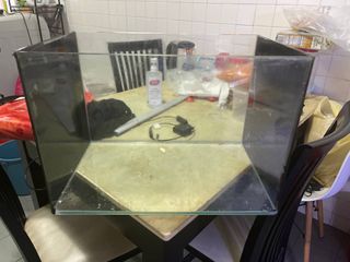 (Category: ) located in . Submitted by ok09123839 (Listing ID 1262462849, Image 1). Description: .