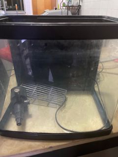 (Category: ) located in . Submitted by ok09123839 (Listing ID 1262463009, Image 1). Description: .