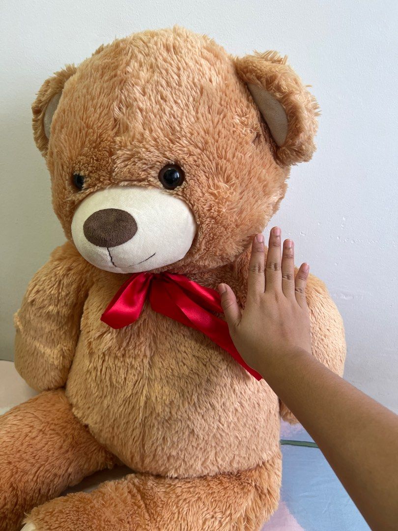 Fluffy Big Teddy Bear