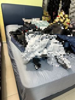 (Category: ) located in . Submitted by admin-11113 (Listing ID 1262359386, Image 1). Description: .