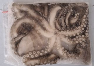 Affordable octopus bait For Sale, Fishing