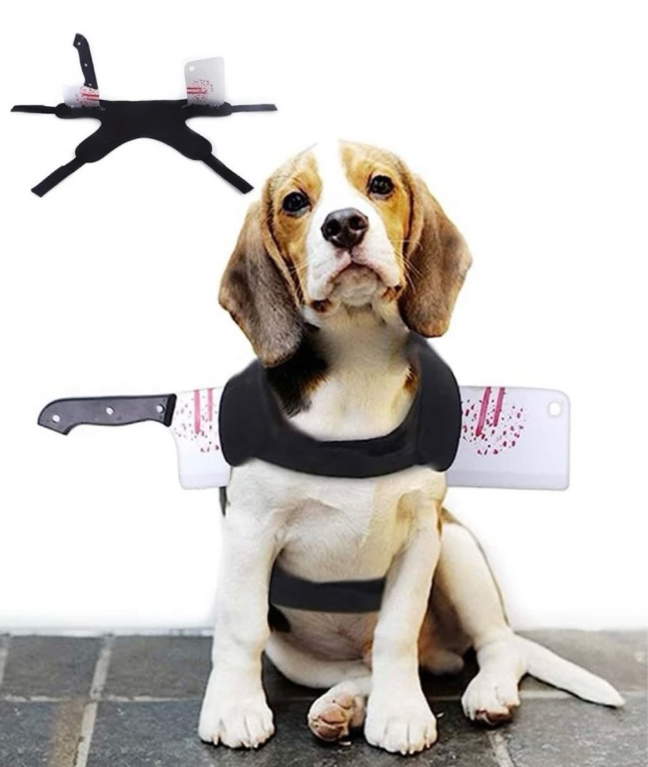 Preloved beagle discount