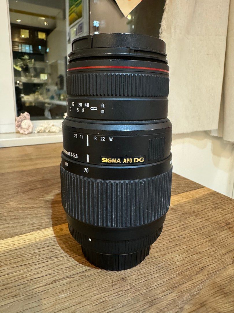 Sigma AF 70-300mm f/4-5.6 APO DG Macro Lens for Nikon, 攝影