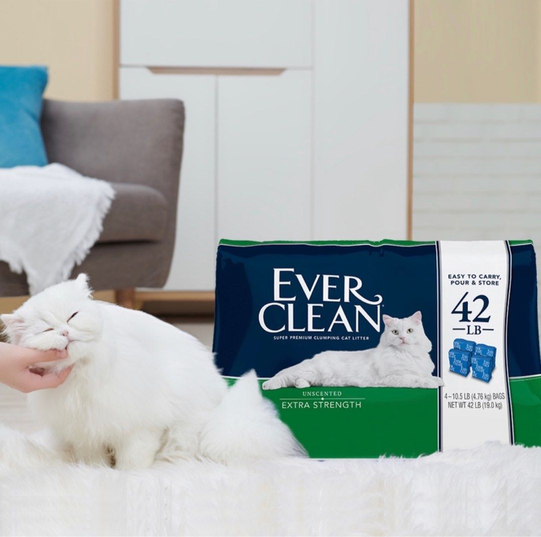 Ever clean 42lb on sale