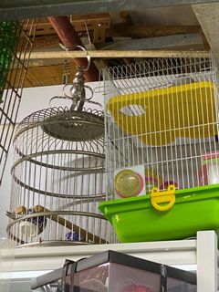 （分類：）位於 。 由 jxs_store 提交（商品編號 1262657625，圖片 1）。簡介： 。