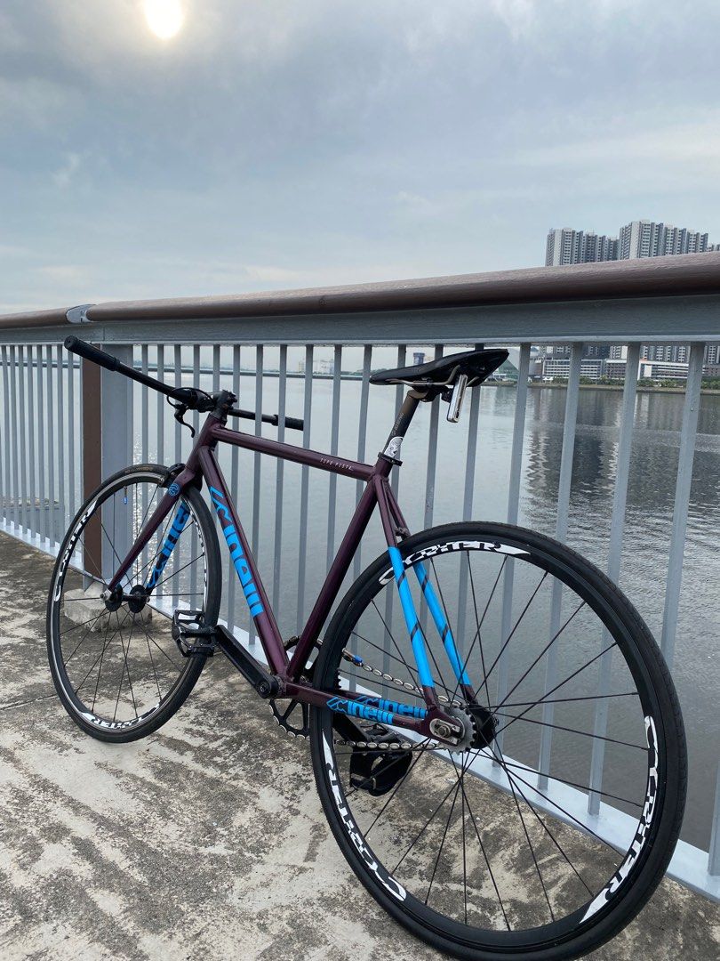 Tipo pista hot sale track bike