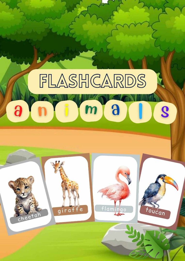 Educational Flashcards, Hobbies & Toys, Toys & Games on Carousell