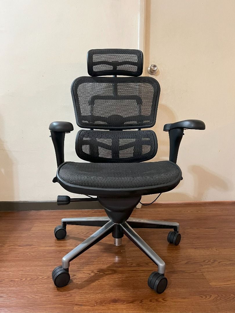 Am office outlet ergohuman price