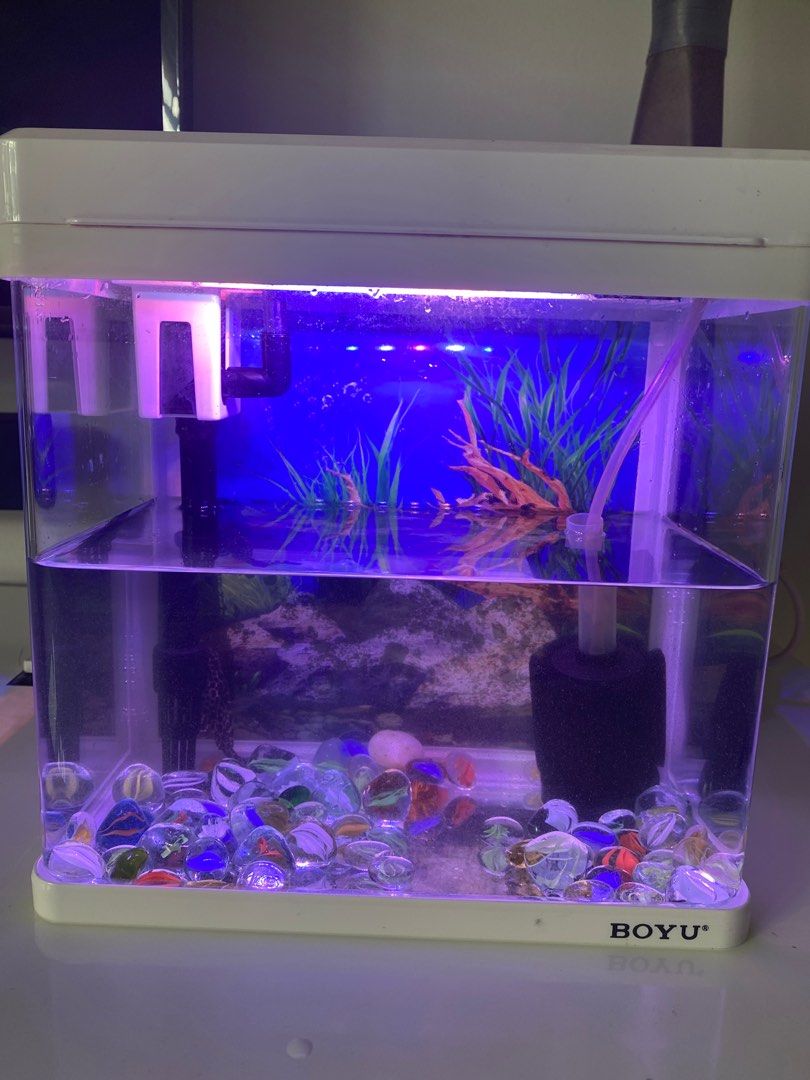Fish Tank Set (Aquarium), Pet Supplies, Homes & Other Pet Accessories