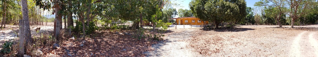 (Category: ) located in . Submitted by bettygorosperemaxc (Listing ID 1262641272, Image 1). Description: .