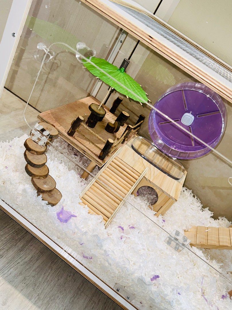 Curated visual reference: Hamster Acrylic Cage 60Cm 80Cm Wood Accessories Platform Ladder Hideout Photo Inspiration