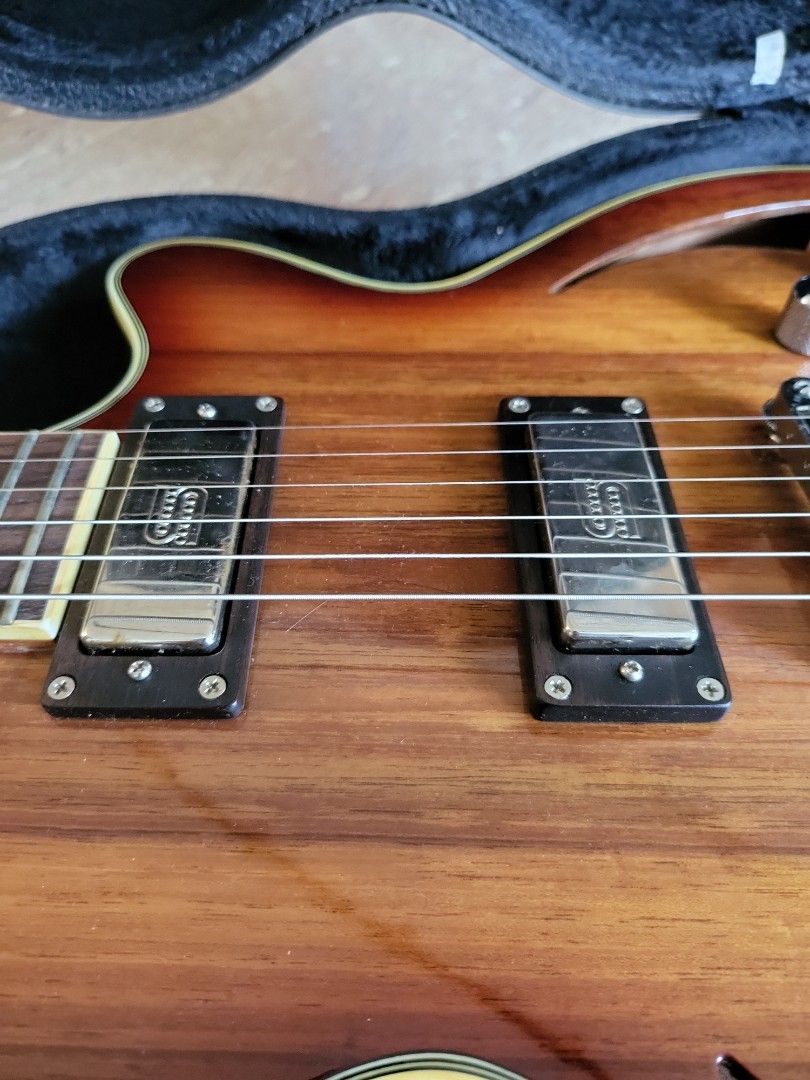 Parkwood hybrid discount guitar
