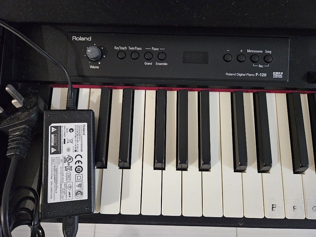 Roland Digital Piano F120, Hobbies & Toys, Music & Media, Musical