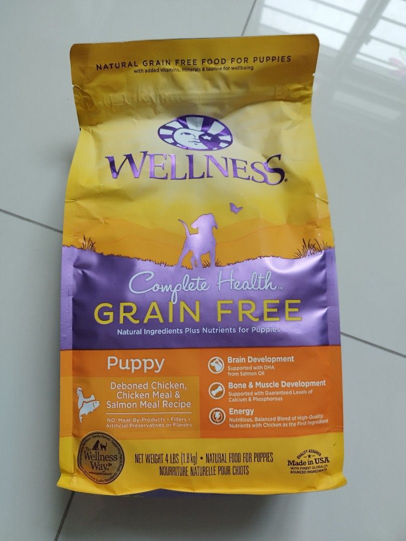 Wellness complete health grain free puppy top