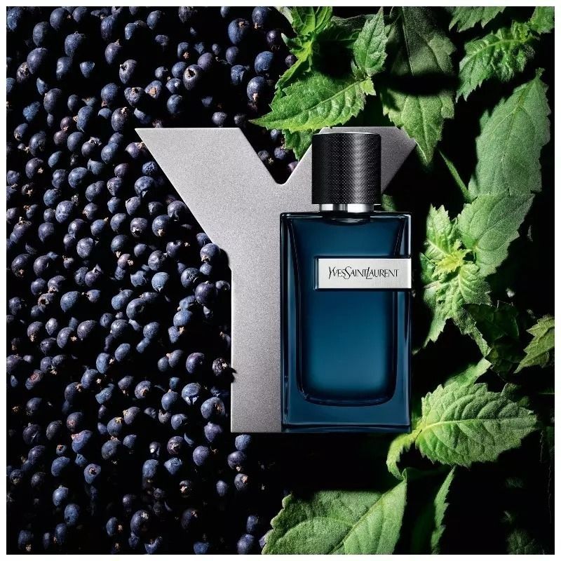 ysl y intense 100ml