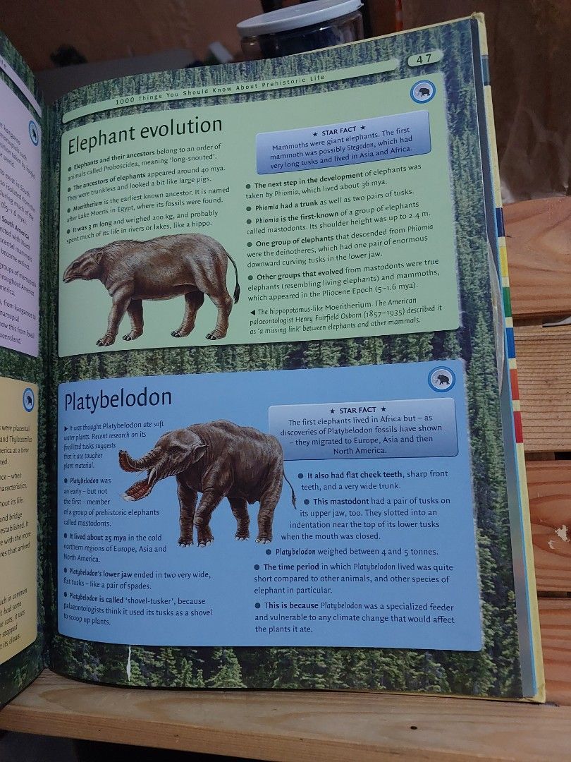 1000Things You Should Know about Prehistoric Life, Hobbies & Toys ...