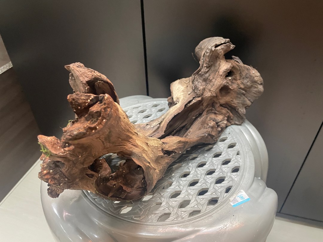 Aquarium drift wood, Pet Supplies, Homes & Other Pet Accessories on