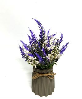 (Category: ) located in . Submitted by altonflowerscomm (Listing ID 1262727197, Image 1). Description: .